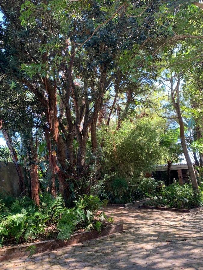 The Secret Garden Hideaway Leilighet Mossel Bay Eksteriør bilde