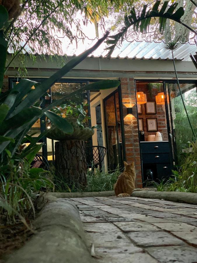 The Secret Garden Hideaway Leilighet Mossel Bay Eksteriør bilde